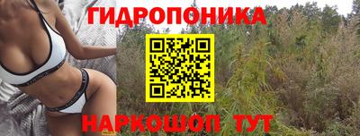 ECSTASY Ливны