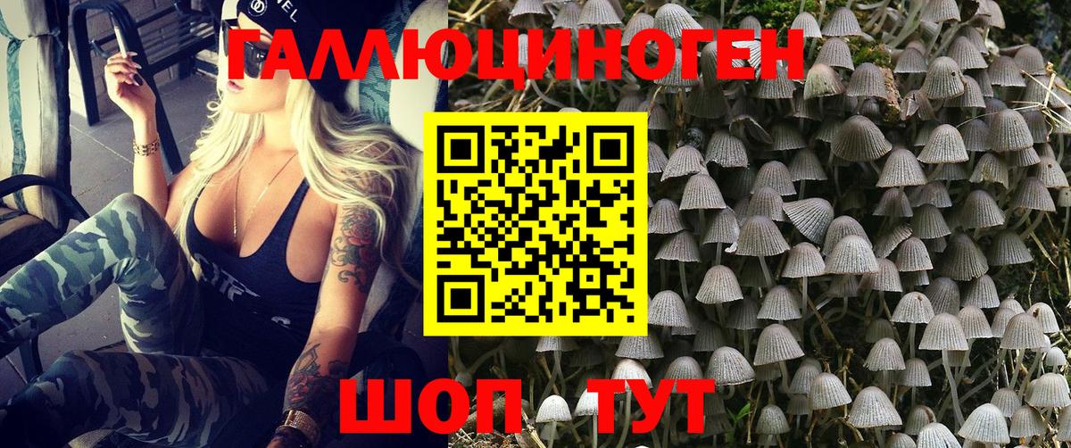хочу наркоту  Вход с VPN  Спасск-Дальний  Псилоцибиновые грибы MAGIC MUSHROOMS 