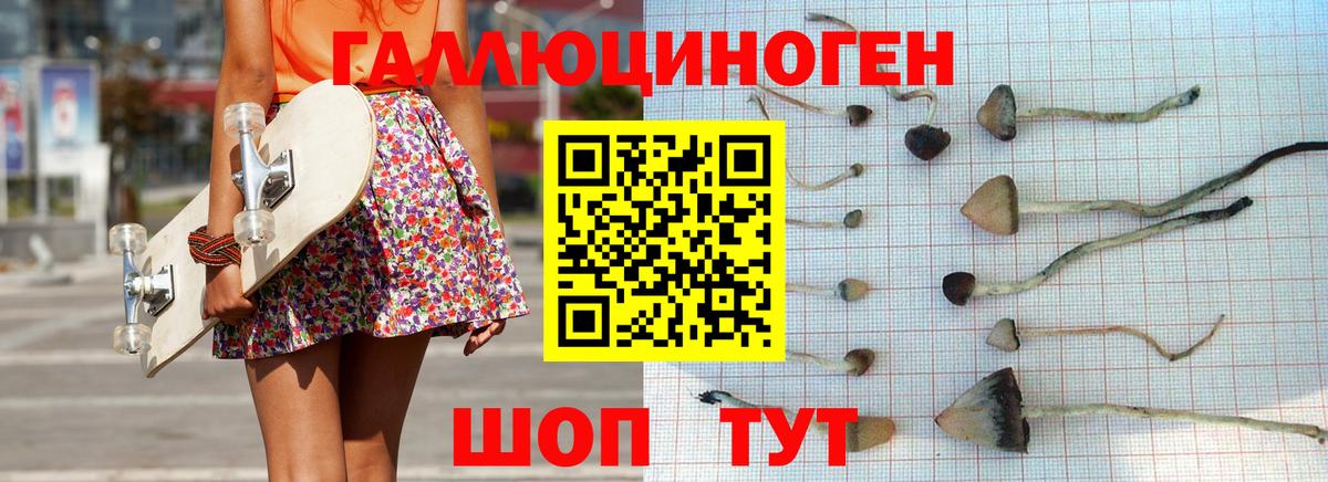 Галлюциногенные грибы Psilocybine cubensis Спасск-Дальний